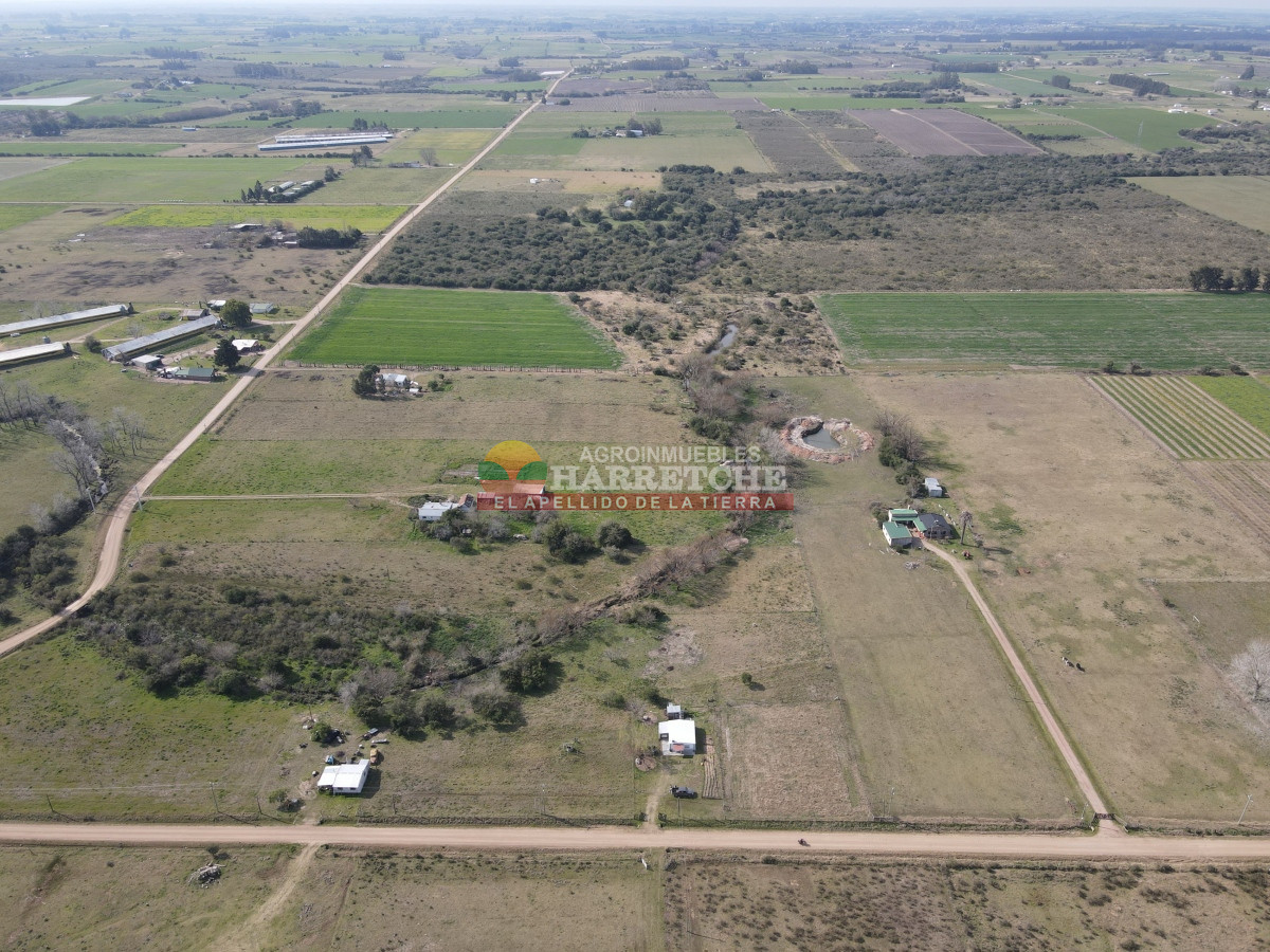 Chacra ID.332 - Chacra en venta Los Cerrillos, 1 has con casa de dos dormitorios