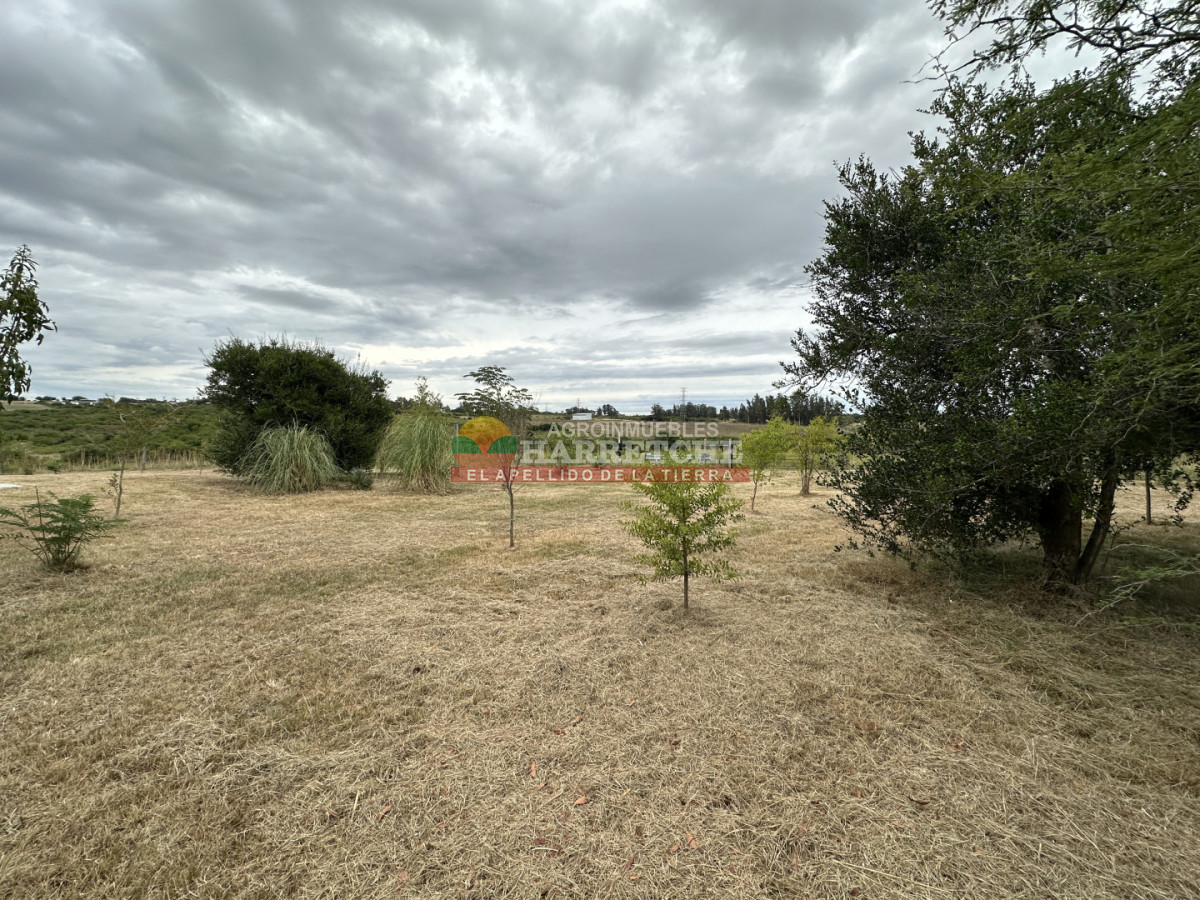 Chacra ID.503 - Chacra en Rincón del Colorado, 3 has, 2 casas, piscina.