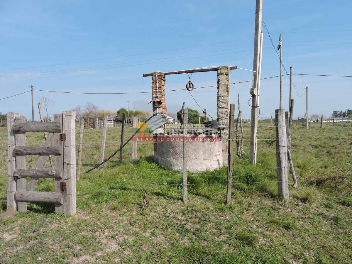 Chacra ID.332 - Chacra en venta Los Cerrillos, 1 has con casa de dos dormitorios