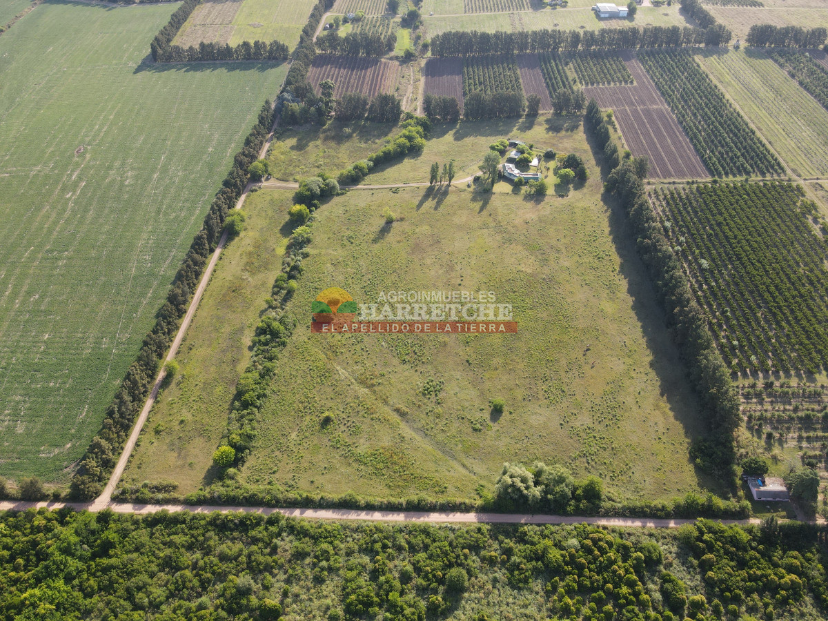 Chacra ID.448 - Chacra en Melilla, 10 has, casco de 3 dormitorios, 2 baños, piscina, galpón.