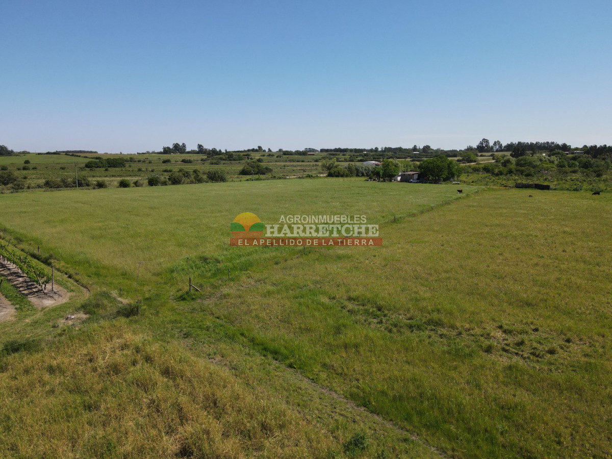 Chacra ID.492 - Chacra de 3 has en Los Cerrillos, hermoso entorno!