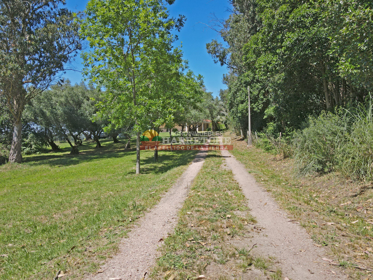 Chacra ID.419 - Chacra en venta Chalet con 6 dorm, 3 baños, parque, apta banco.