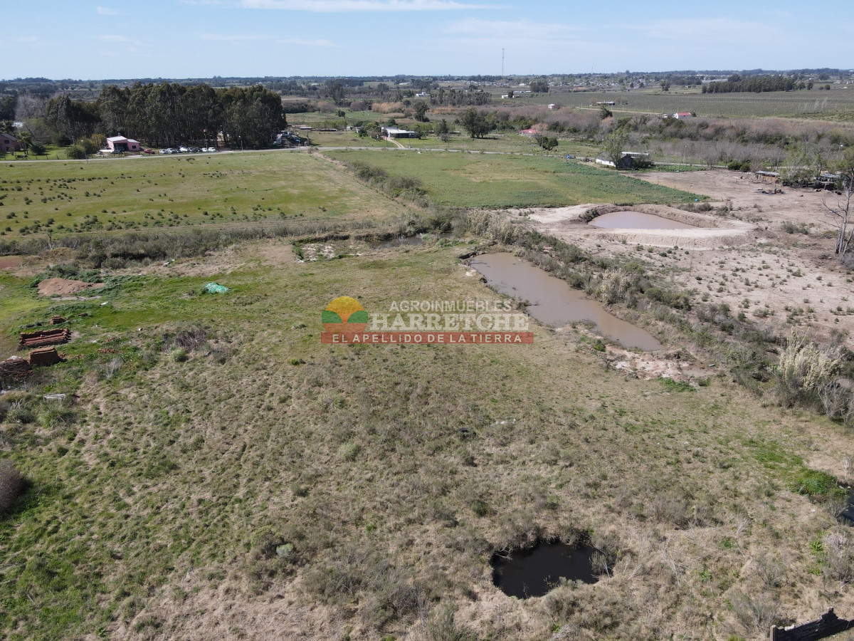 Chacra ID.334 - Chacra en venta 7 has. Montevideo rural, a 1 km de Camino Mendoza