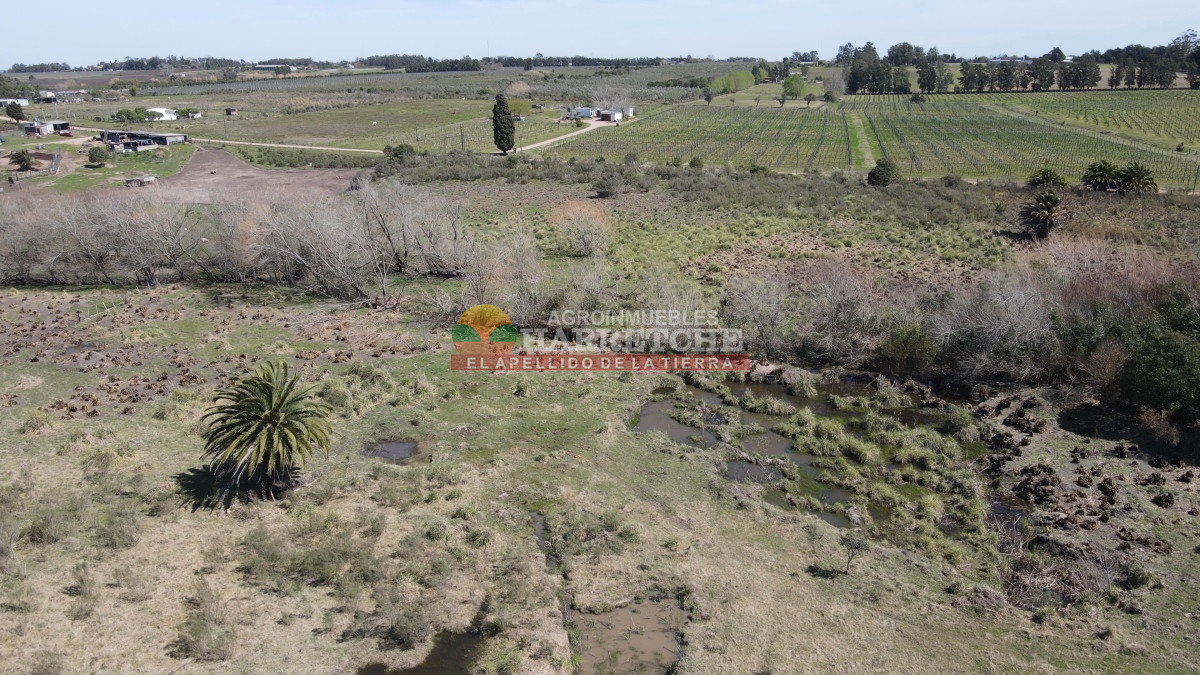 Chacra ID.333 - Chacra en Montevideo rural, 7 has muy bien ubicadas