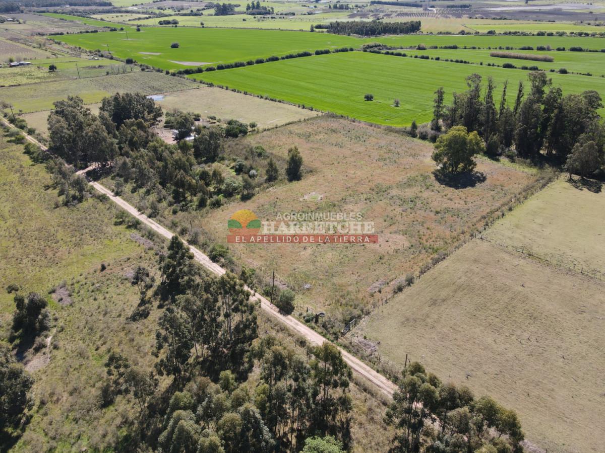Chacra ID.538 - Chacra de 2 has en Los Cerrillos, zona alta, hermoso lugar!