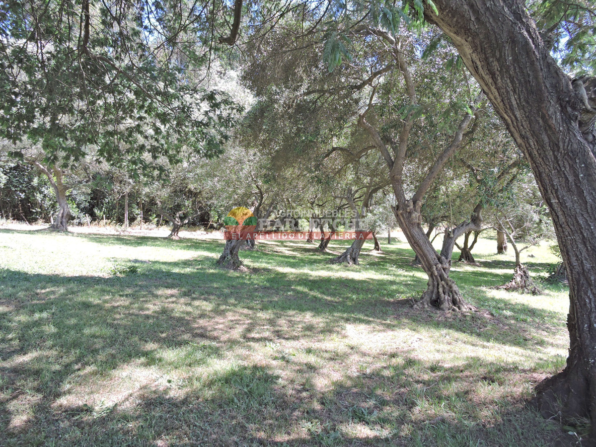 Chacra ID.419 - Chacra en venta Chalet con 6 dorm, 3 baños, parque, apta banco.