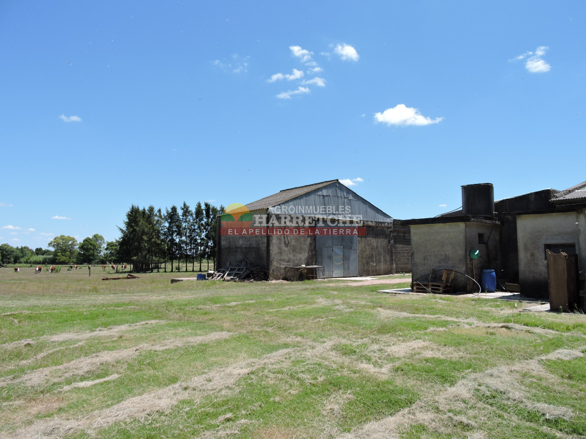 Chacra ID.431 - Chacra en Los Cerrillos, 5.7 has, Casa, barbacoa, galpones. 