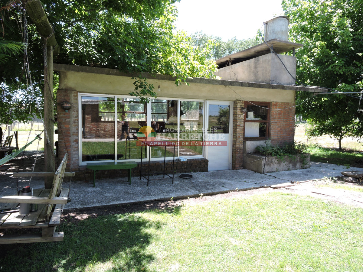 Chacra ID.431 - Chacra en Los Cerrillos, 5.7 has, Casa, barbacoa, galpones. 