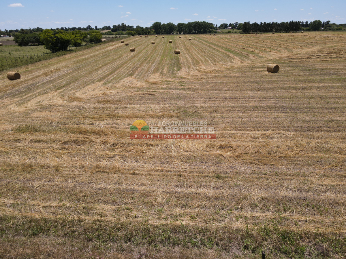 Chacra ID.431 - Chacra en Los Cerrillos, 5.7 has, Casa, barbacoa, galpones. 