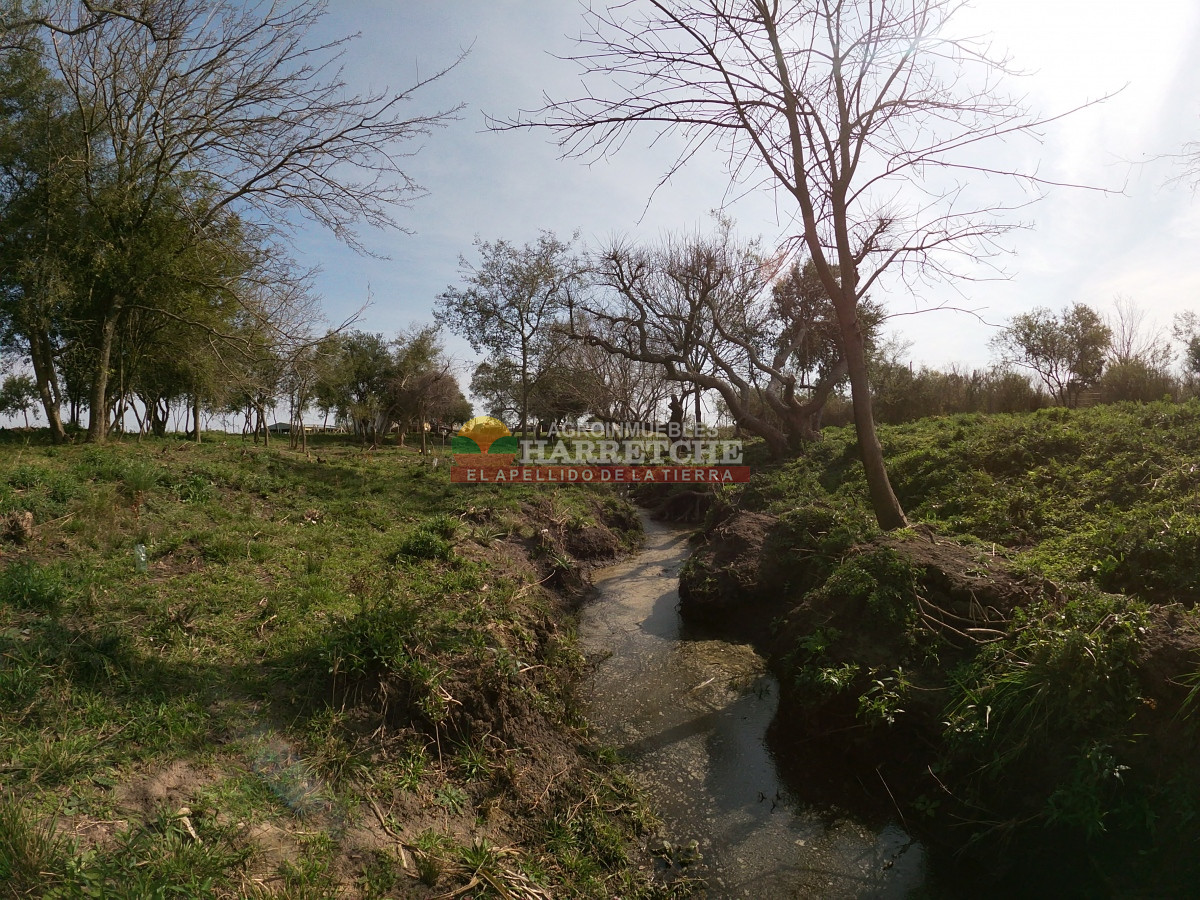 Chacra ID.332 - Chacra en venta Los Cerrillos, 1 has con casa de dos dormitorios