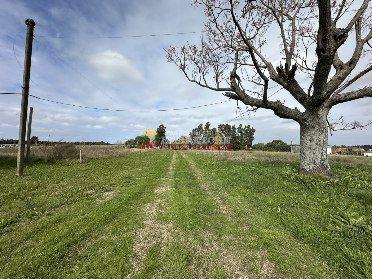 Chacra ID.536 - Chacra en Villa Nueva, hermosa casa, 4 dorm, 2 baños, amplios espacios