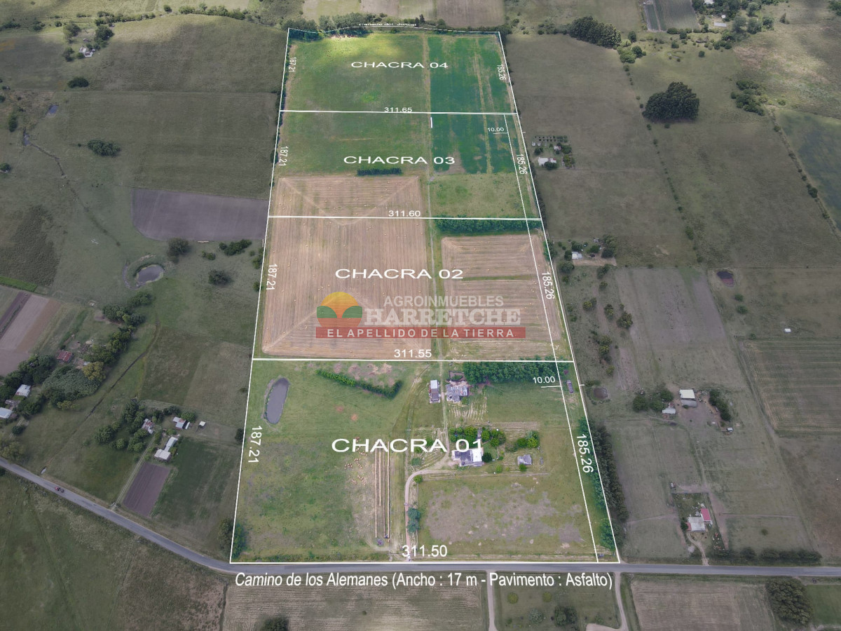 Chacra ID.431 - Chacra en Los Cerrillos, 5.7 has, Casa, barbacoa, galpones. 