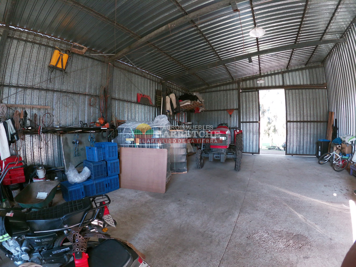 Chacra ID.474 - Campo de Olivos en venta, con fábrica de aceite y casa de ensueño