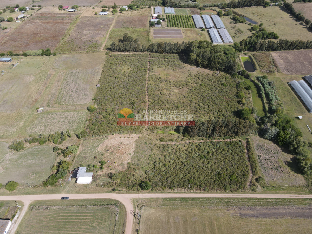 Chacra ID.508 -  Chacra en Los Cerrillos, 4 has, monoambiente, cañada, tajamar! 