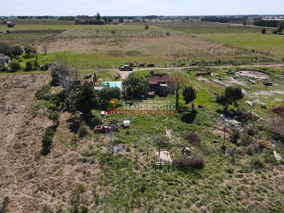Chacra ID.334 - Chacra en venta 7 has. Montevideo rural, a 1 km de Camino Mendoza