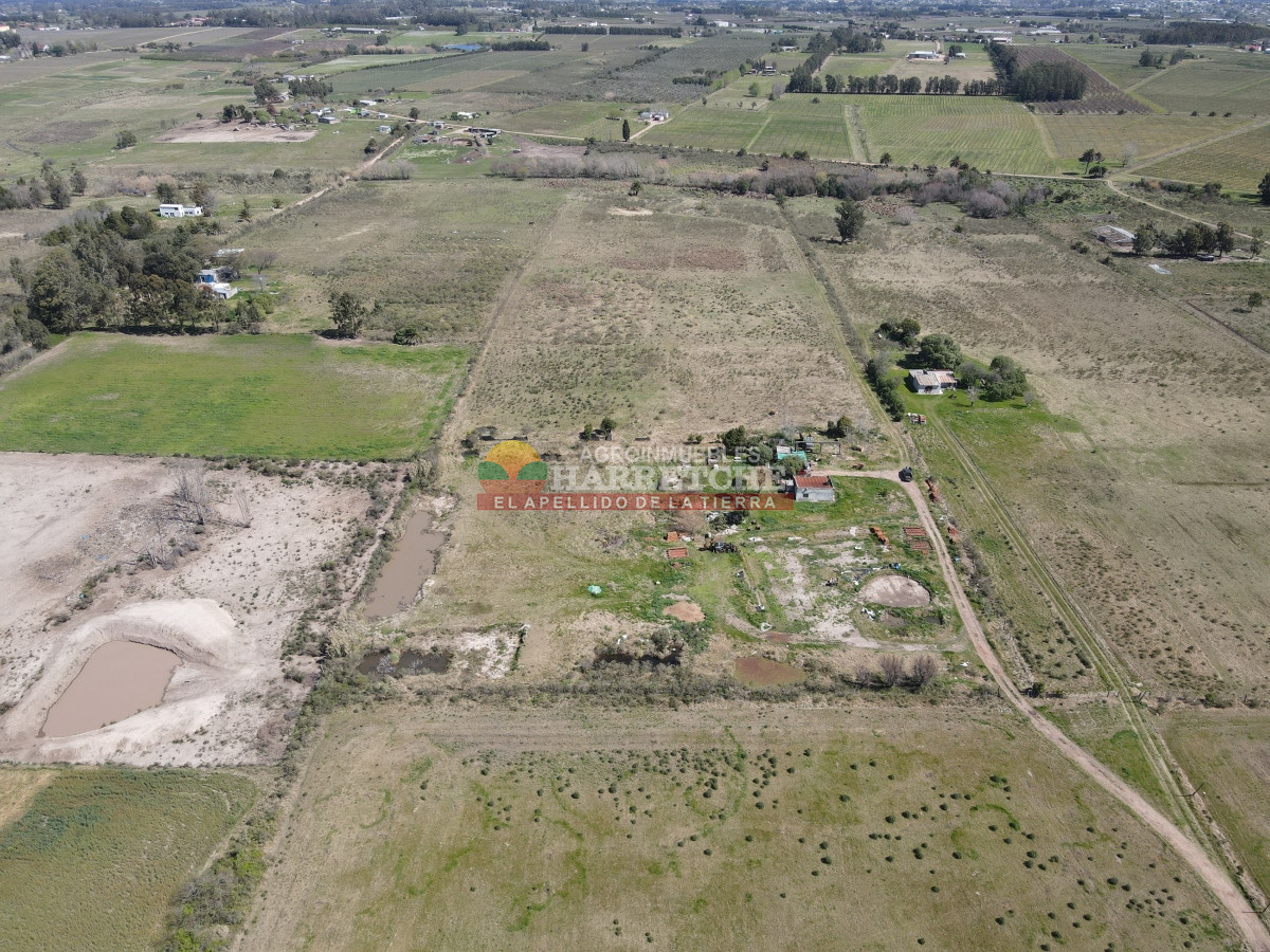 Chacra ID.334 - Chacra en venta 7 has. Montevideo rural, a 1 km de Camino Mendoza