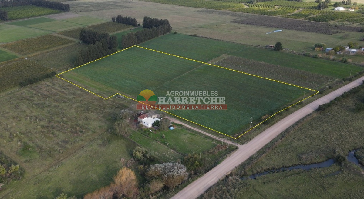 Chacra ID.492 - Chacra de 3 has en Los Cerrillos, hermoso entorno!