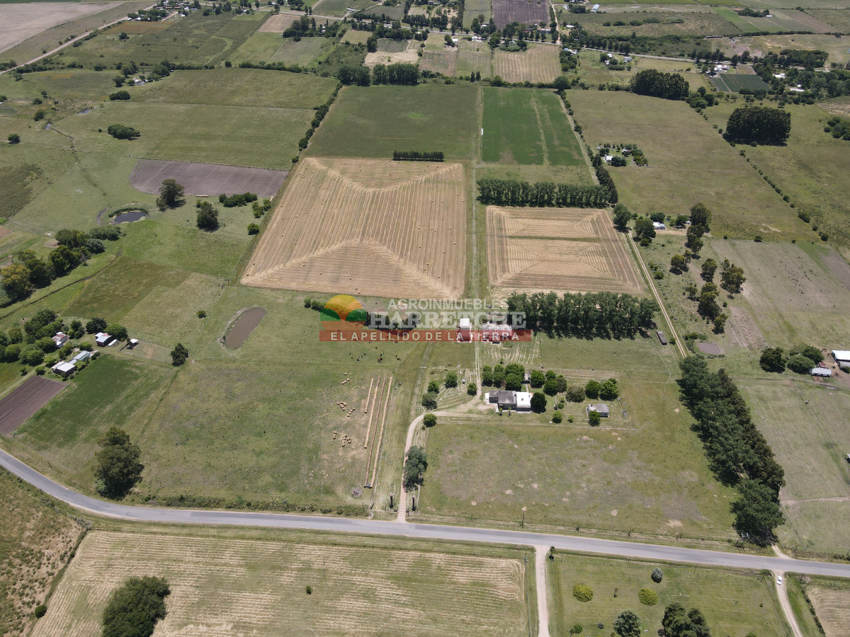 Chacra ID.431 - Chacra en Los Cerrillos, 5.7 has, Casa, barbacoa, galpones. 