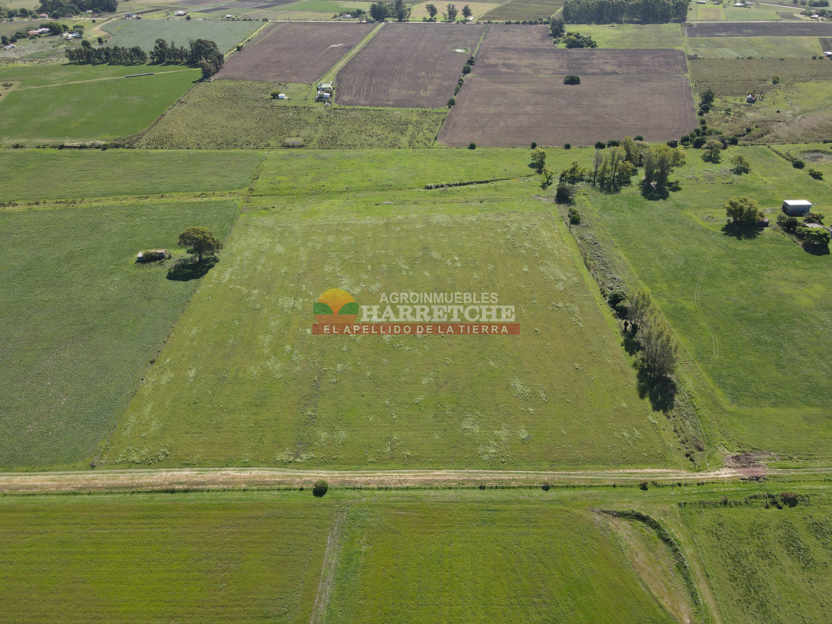 Chacra ID.444 - Chacra en Los Cerrillos, 5.4 has con cañada, predio alto y limpio, dueño financia!