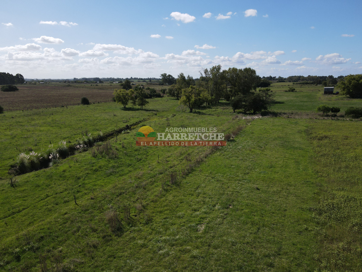 Chacra ID.444 - Chacra en Los Cerrillos, 5.4 has con cañada, predio alto y limpio, dueño financia!