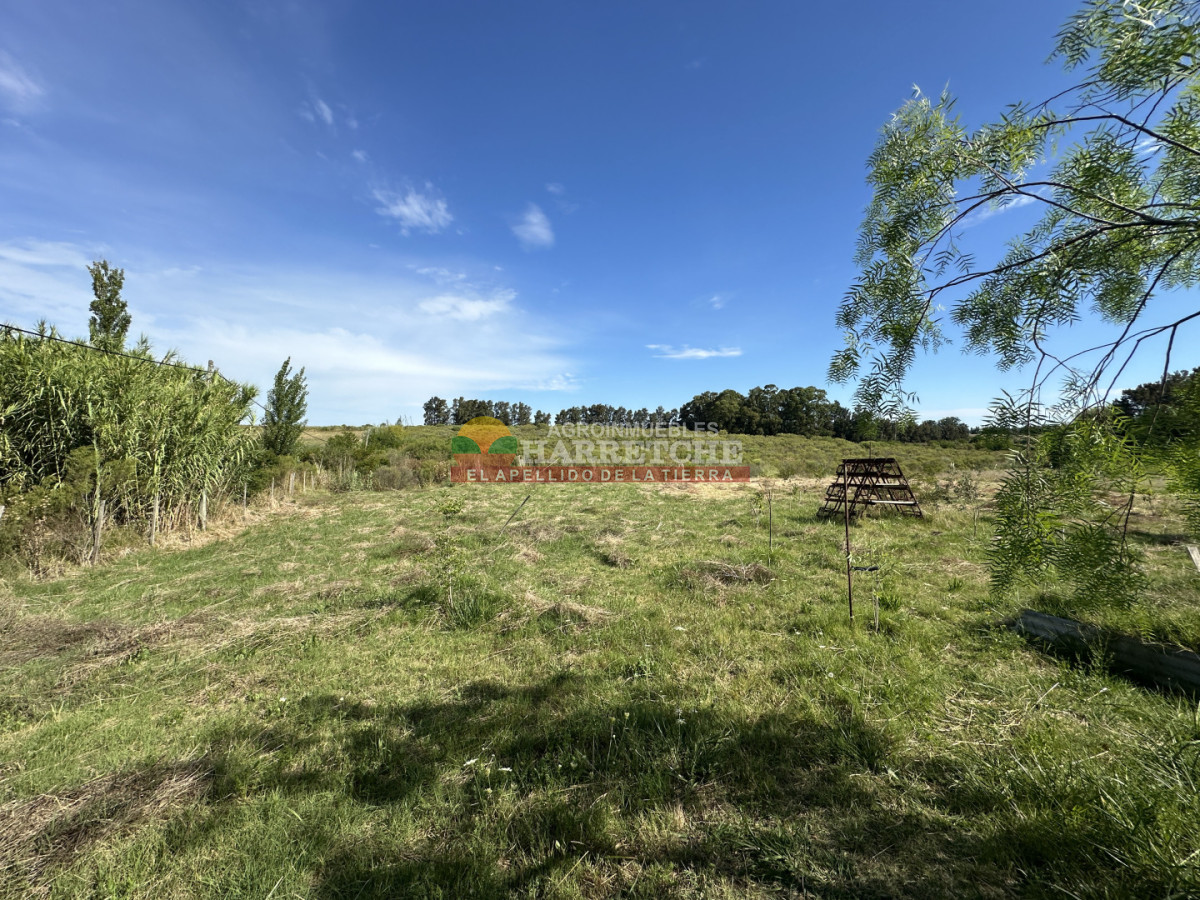 Chacra ID.508 -  Chacra en Los Cerrillos, 4 has, monoambiente, cañada, tajamar! 