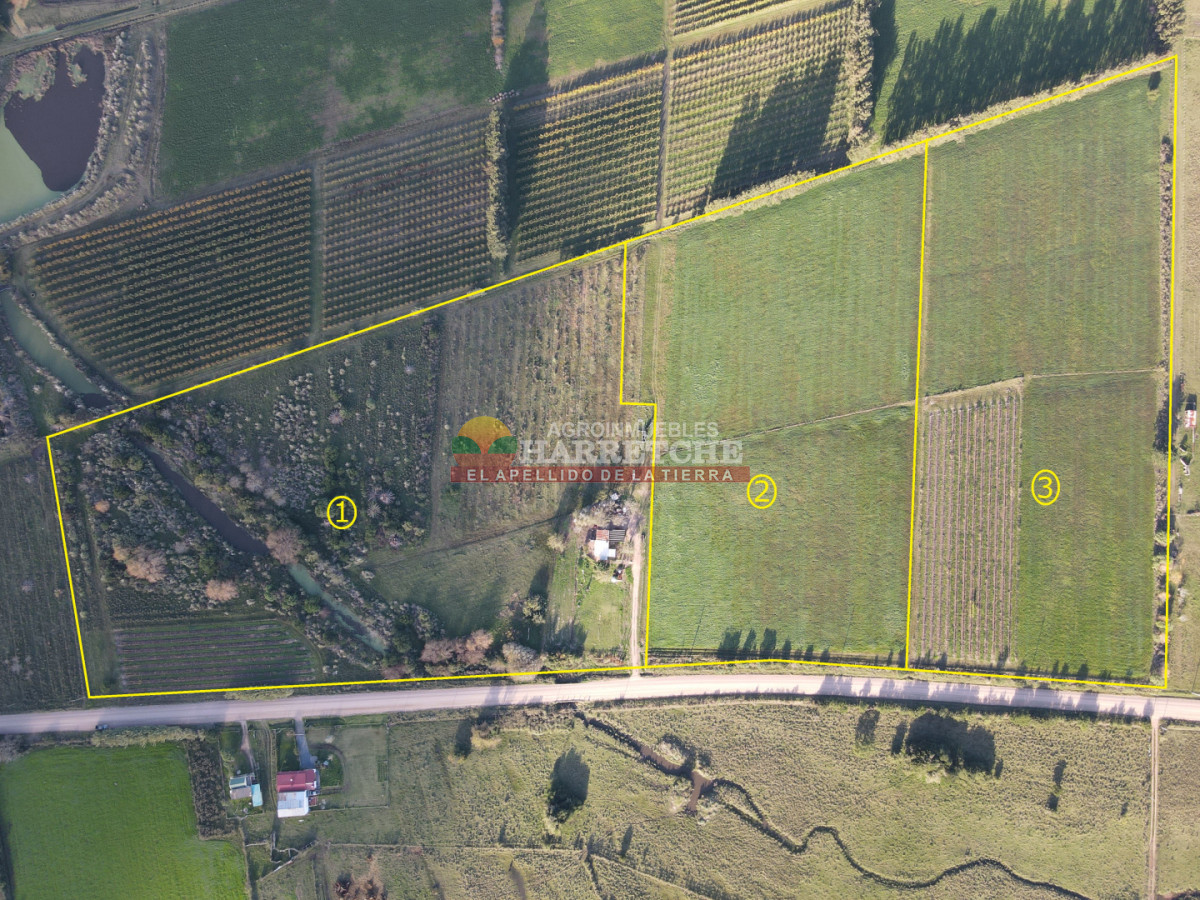 Chacra ID.492 - Chacra de 3 has en Los Cerrillos, hermoso entorno!