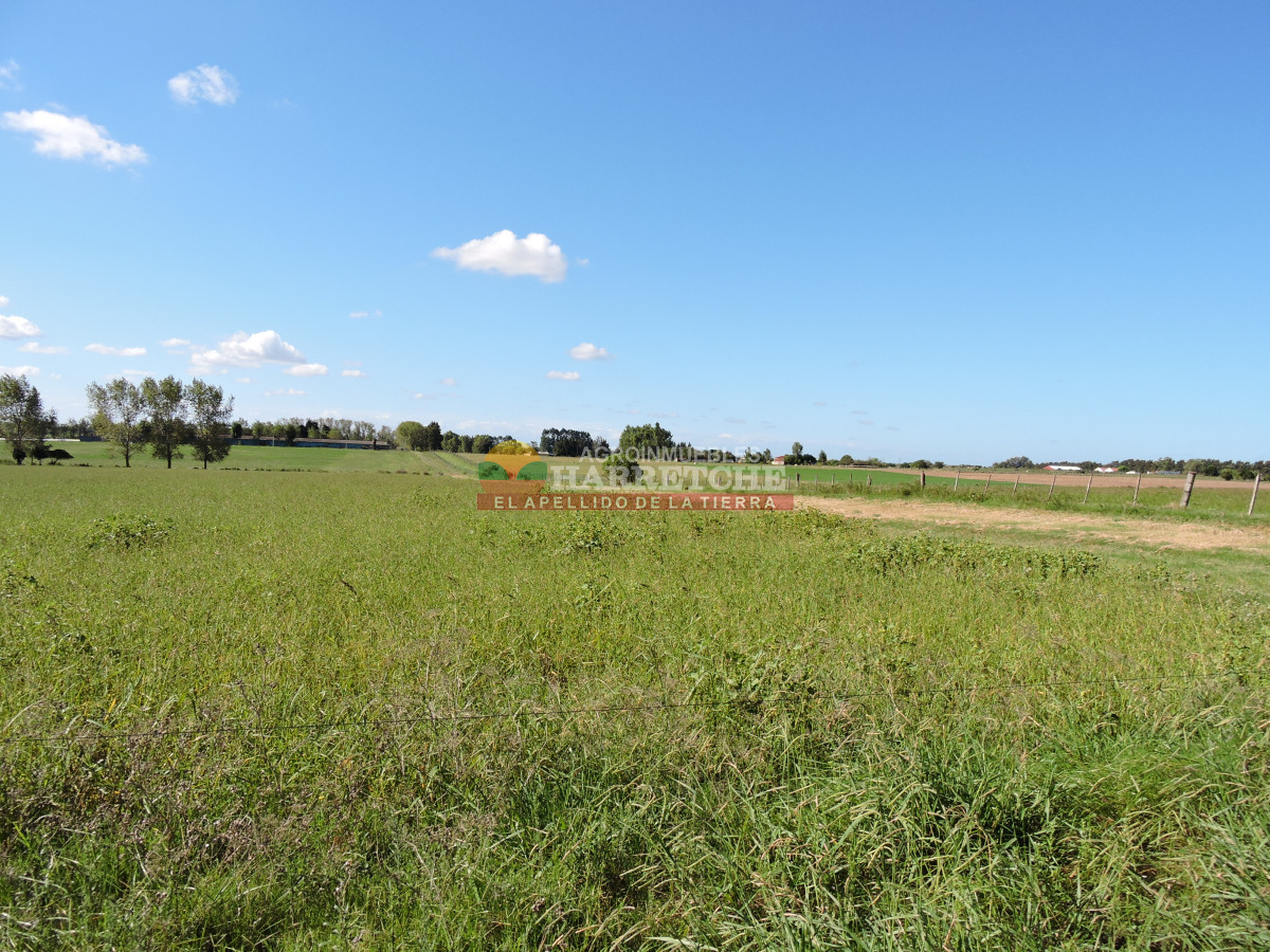 Chacra ID.444 - Chacra en Los Cerrillos, 5.4 has con cañada, predio alto y limpio, dueño financia!