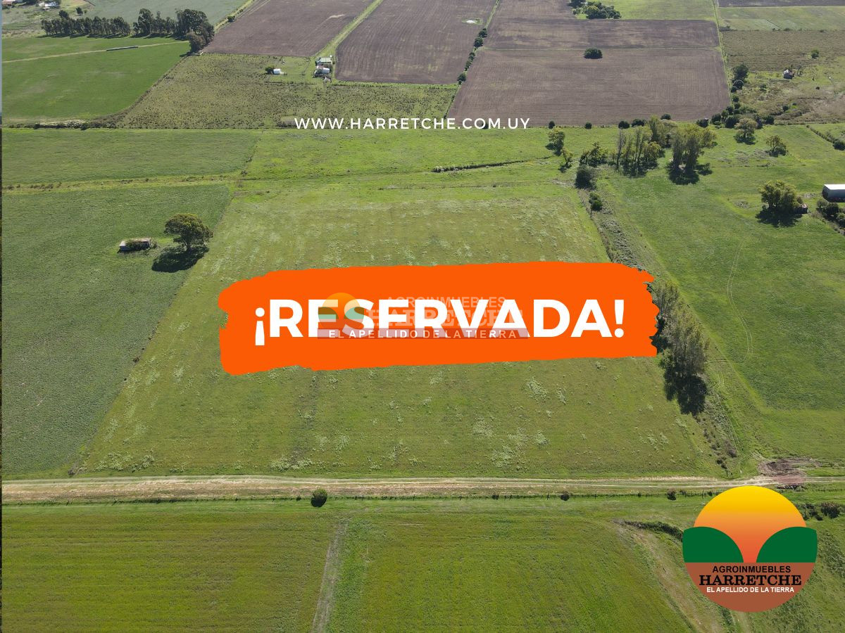 Chacra ID.444 - Chacra en Los Cerrillos, 5.4 has con cañada, predio alto y limpio, dueño financia!