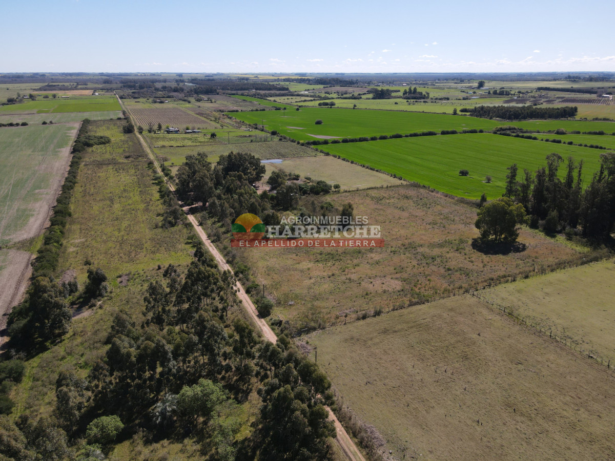 Chacra ID.538 - Chacra de 2 has en Los Cerrillos, zona alta, hermoso lugar!