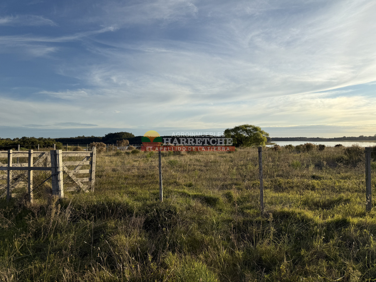 Chacra ID.449 - Chacra sin construcciones con la costa del Embalse Canelón Grande Única!!