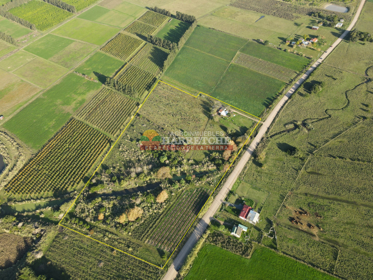 Chacra ID.493 - Chacra en Los Cerrillos, 4 has con casa, galpón, arroyo!