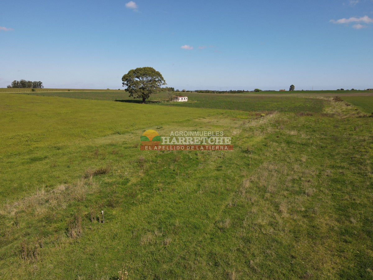 Chacra ID.444 - Chacra en Los Cerrillos, 5.4 has con cañada, predio alto y limpio, dueño financia!