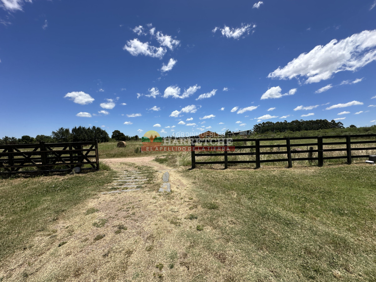 Chacra ID.501 - Chacra Haras hermosa 4 has, Chalet, 3 dorm, piscina, caballerizas, casa personal