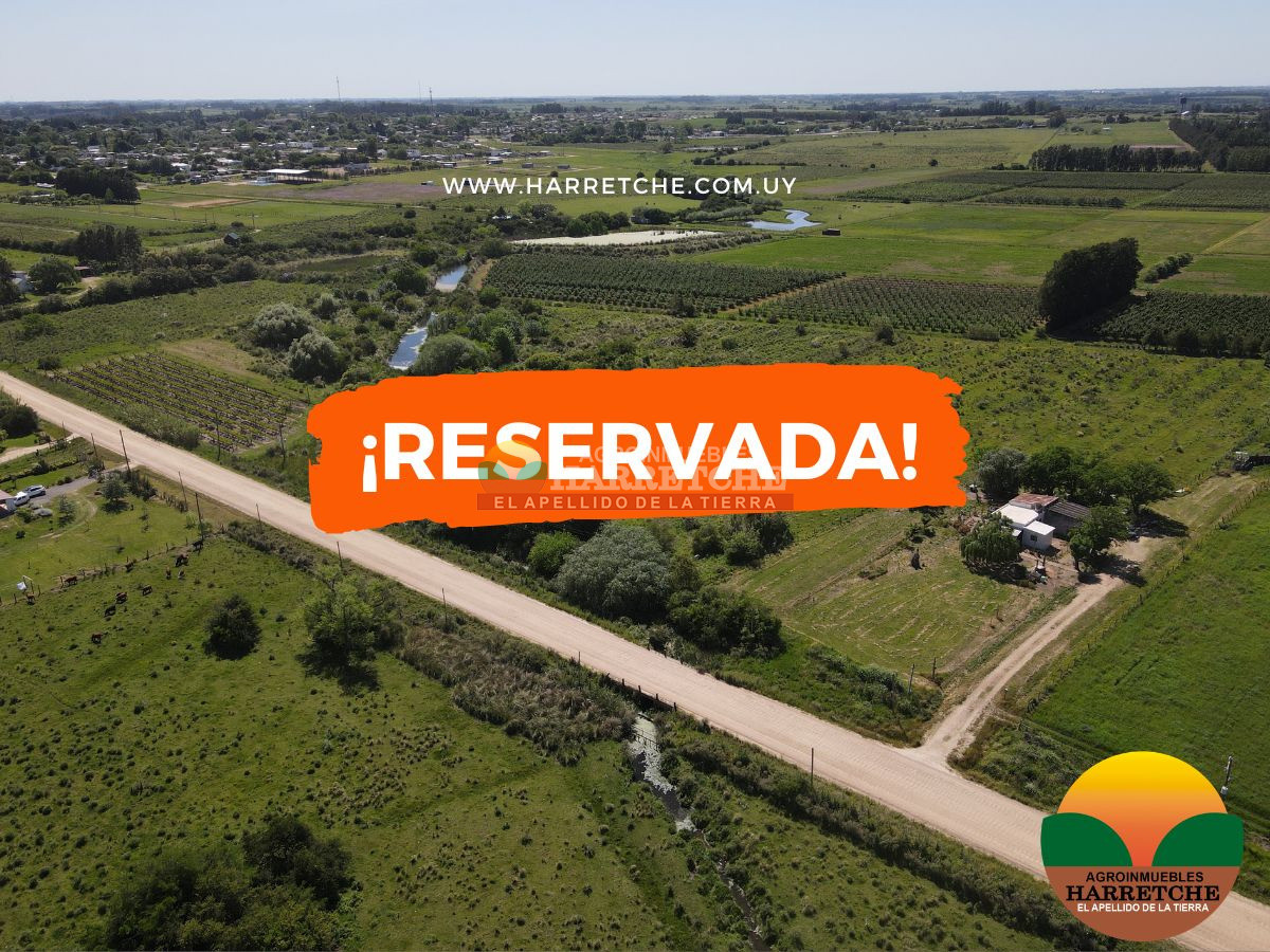 Chacra ID.493 - Chacra en Los Cerrillos, 4 has con casa, galpón, arroyo!