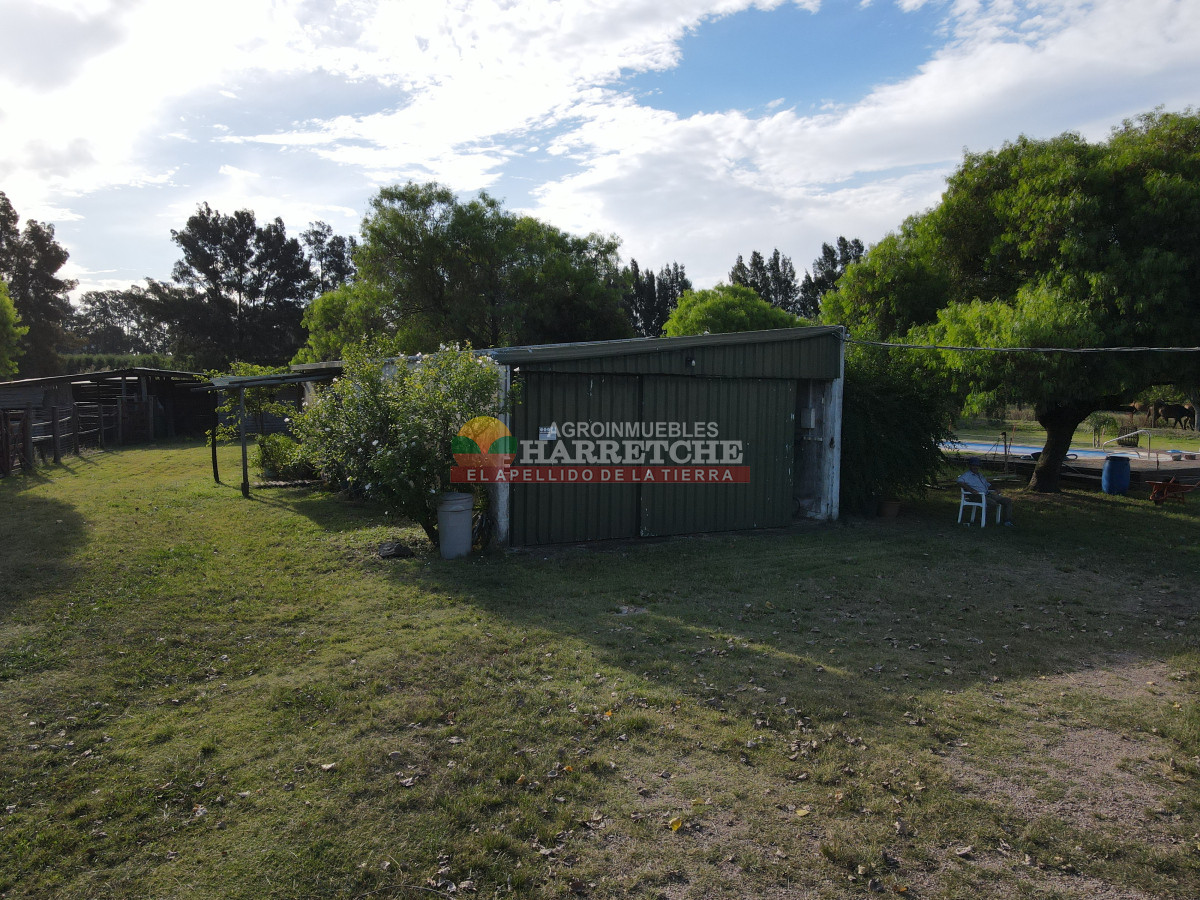 Chacra ID.448 - Chacra en Melilla, 10 has, casco de 3 dormitorios, 2 baños, piscina, galpón.