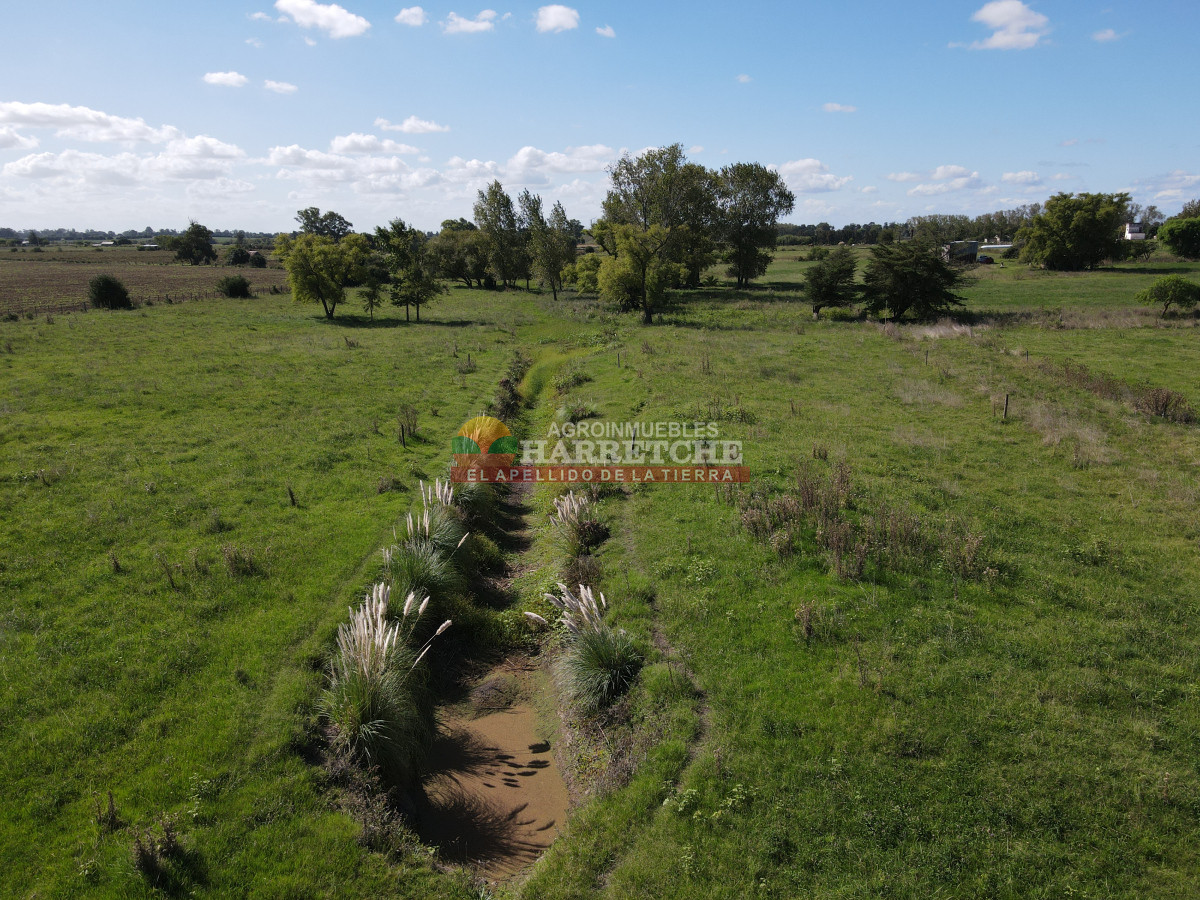 Chacra ID.444 - Chacra en Los Cerrillos, 5.4 has con cañada, predio alto y limpio, dueño financia!