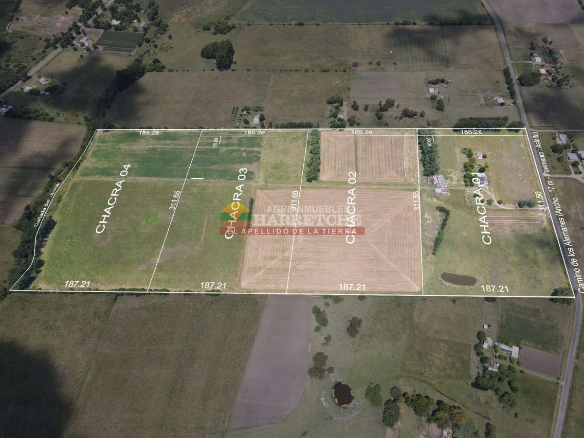 Chacra ID.431 - Chacra en Los Cerrillos, 5.7 has, Casa, barbacoa, galpones. 