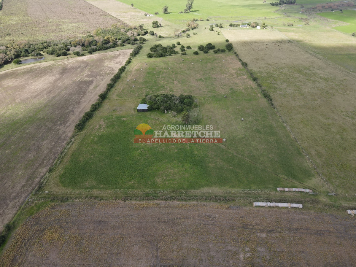 Chacra ID.384 - Chacra de 5 has en Los Cerrillos, cañada, alambrados, muy lindo entorno!