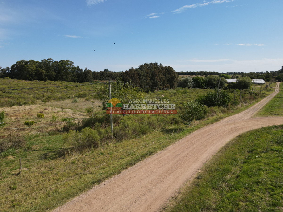 Chacra ID.508 -  Chacra en Los Cerrillos, 4 has, monoambiente, cañada, tajamar! 