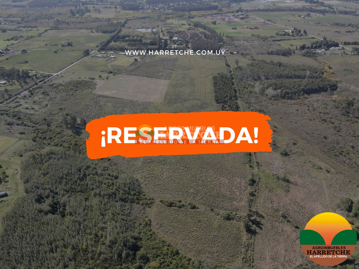 Chacra ID.306 - 12.8 has en Paso del Andaluz, a metros de ruta perimetral. 