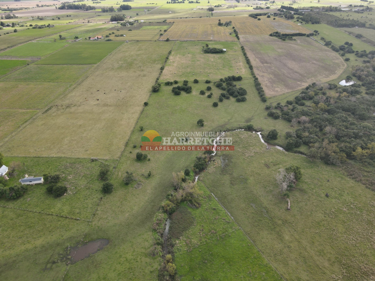 Chacra ID.384 - Chacra de 5 has en Los Cerrillos, cañada, alambrados, muy lindo entorno!