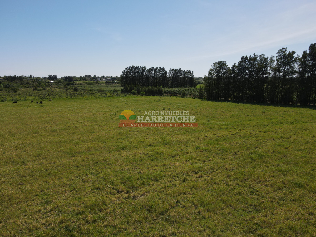 Chacra ID.493 - Chacra en Los Cerrillos, 4 has con casa, galpón, arroyo!