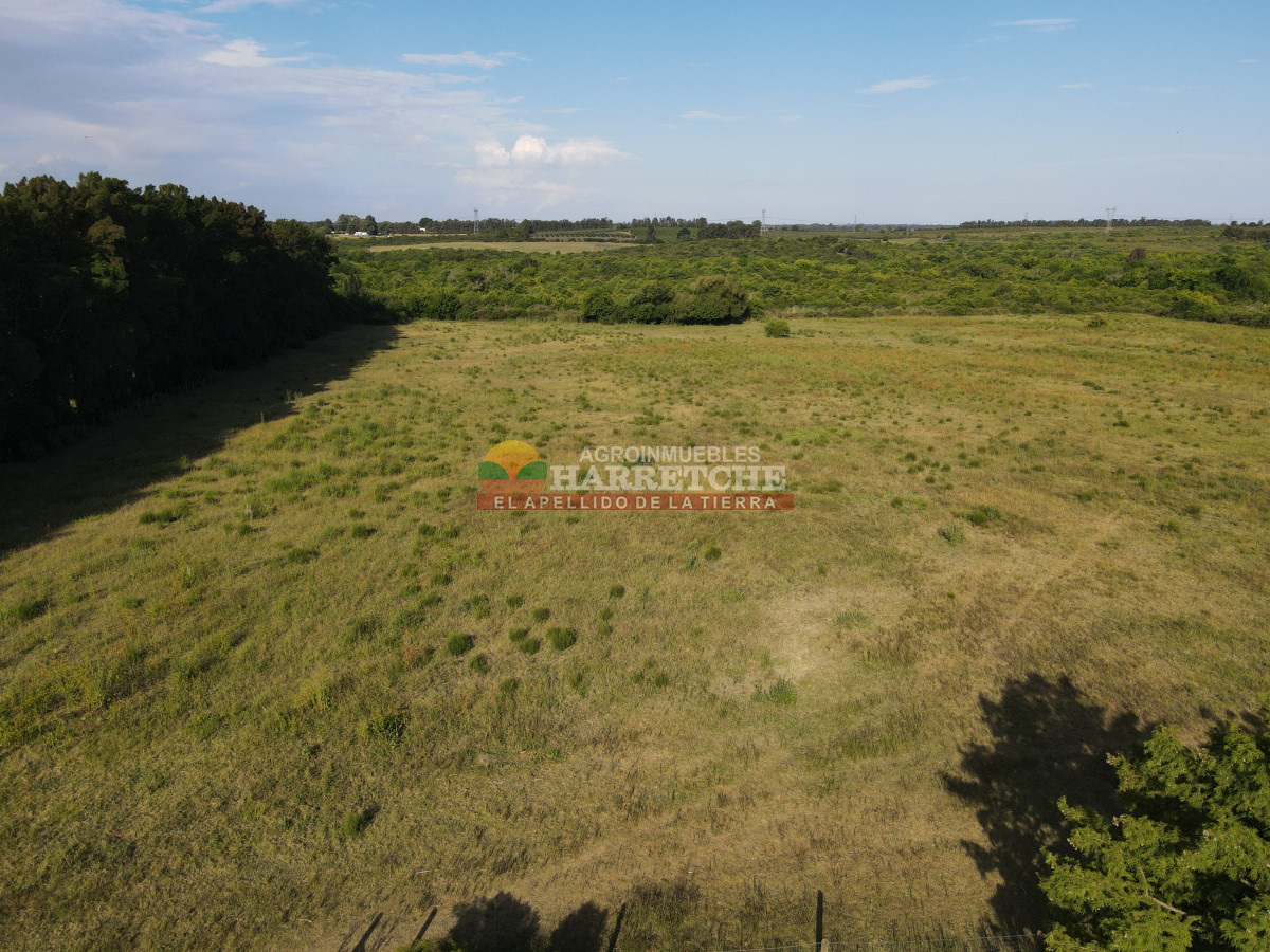 Chacra ID.448 - Chacra en Melilla, 10 has, casco de 3 dormitorios, 2 baños, piscina, galpón.