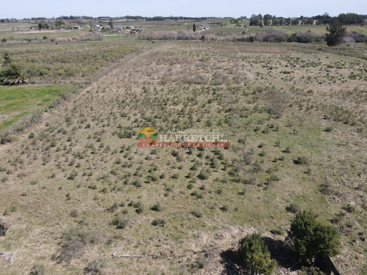 Chacra ID.333 - Chacra en Montevideo rural, 7 has muy bien ubicadas