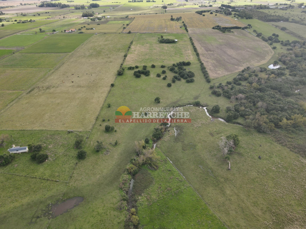 Chacra ID.384 - Chacra de 5 has en Los Cerrillos, cañada, alambrados, muy lindo entorno!