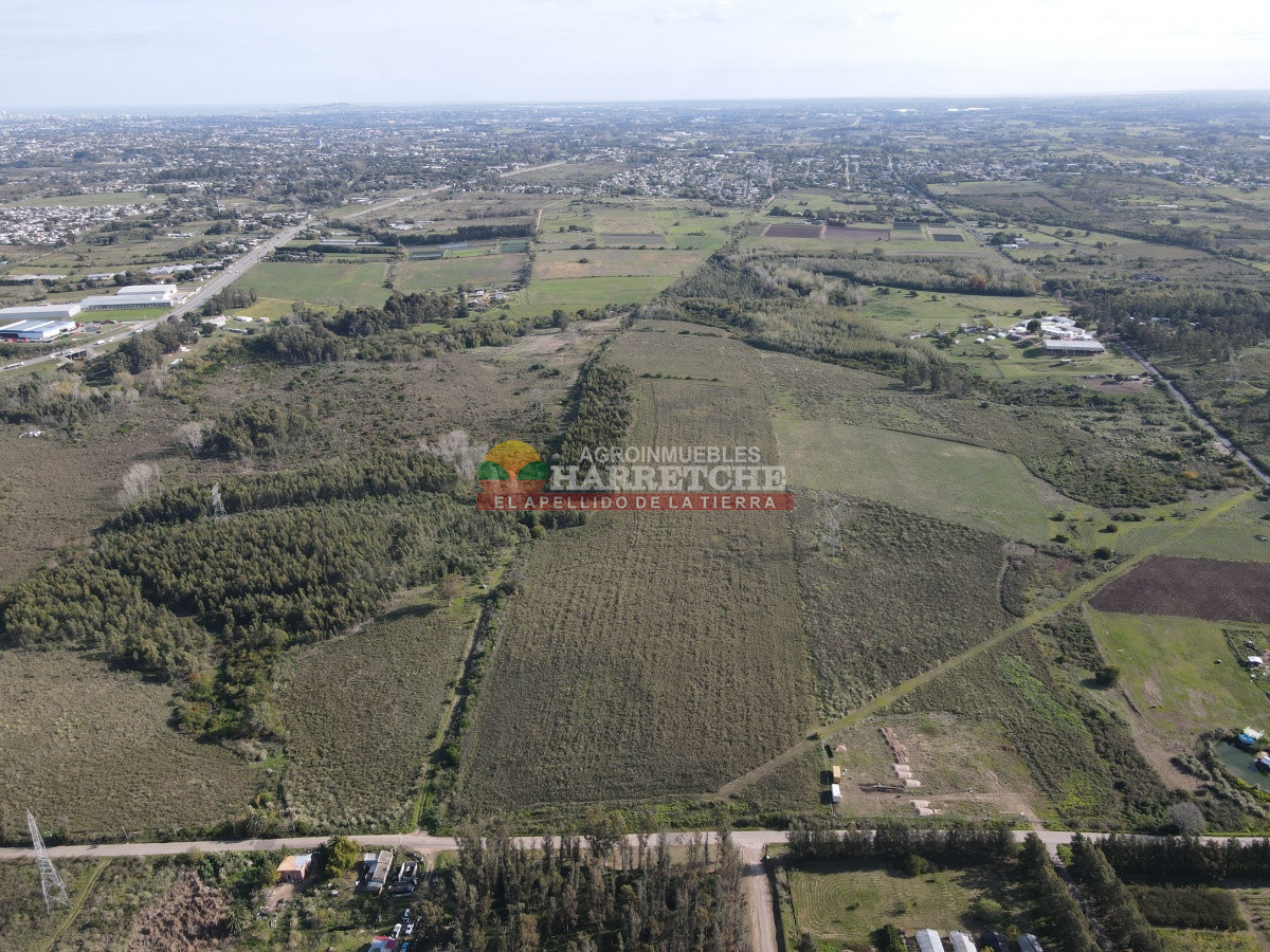 Chacra ID.306 - 12.8 has en Paso del Andaluz, a metros de ruta perimetral. 
