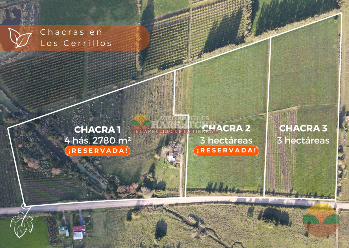 Chacra ID.492 - Chacra de 3 has en Los Cerrillos, hermoso entorno!