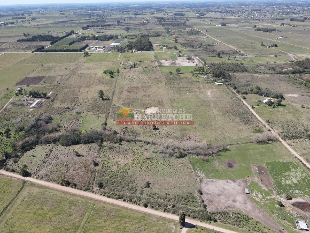 Chacra ID.334 - Chacra en venta 7 has. Montevideo rural, a 1 km de Camino Mendoza