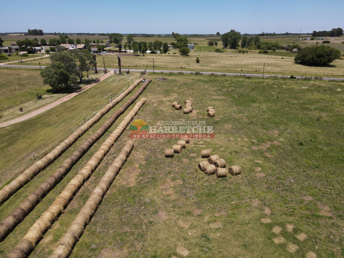 Chacra ID.431 - Chacra en Los Cerrillos, 5.7 has, Casa, barbacoa, galpones. 