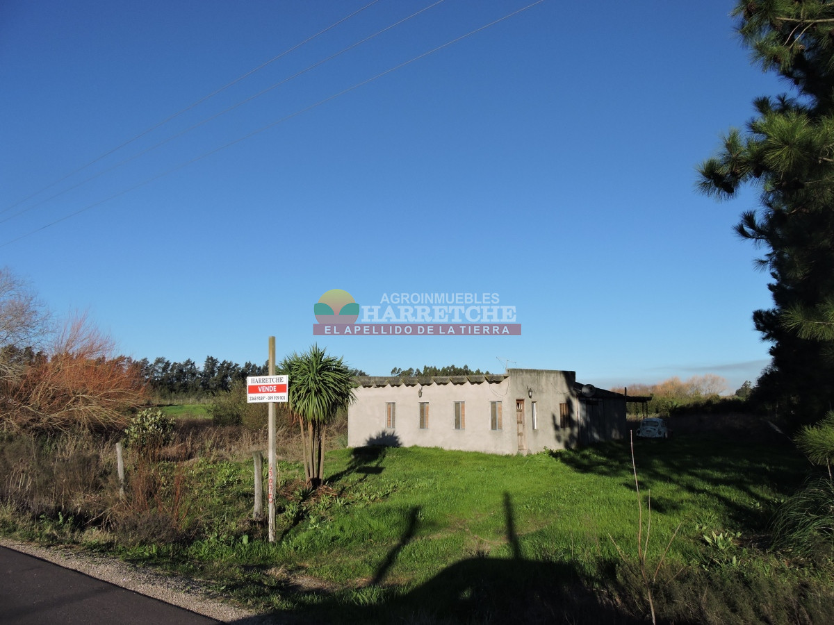 Chacra ID.374 - Chacra en Cuatro Piedras, 2 has con casa, galpón, muy buen lugar.